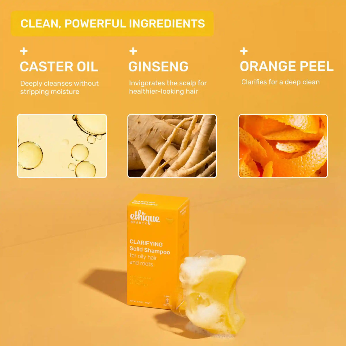 CLARIFYING Mini Duo